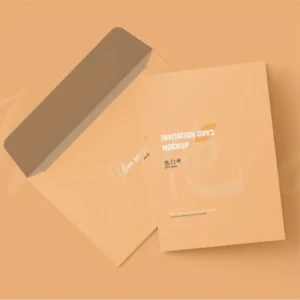 Hospital Brown envelope Printing