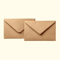 Brown Envelope Printing