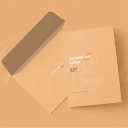 Hospital Brown envelope Printing